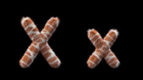 3D animation of a uppercase and lowercase Giraffe woolen letter X