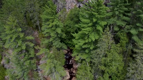 Aerial View of Waterfall Through Forest