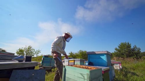 Apiculture process. Apiarist works with chimney over wooden beehive.