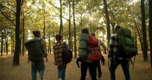 Rear View of a Group of Travelers on a Hike in a Summer Forest Four People in Special Hiking Clothes