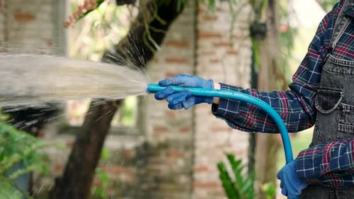 Focused intently, Asian gardener in plaid waters her thriving garden, a cascade of nurturing.
