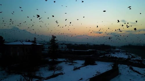 At sunset, a drone flying with crows over the road