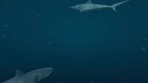 Animated Sharks Swimming in Deep Blue Ocean