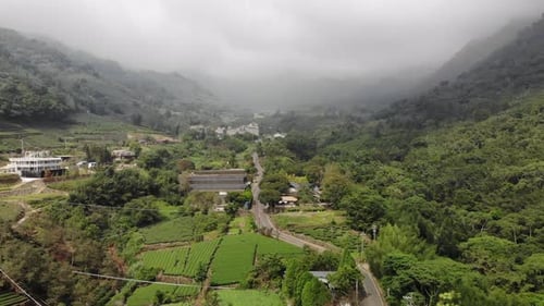 Green Valley Fog