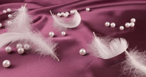 White swan feathers fall on violet plum silk with pearls. Slow motion.