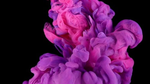 Abstract Pink and Purple Ink Swirling Close Up