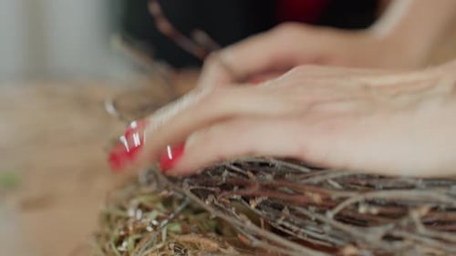 Female Florist Hands with Red Nails Carefully Arranging Twigs on Straw Base