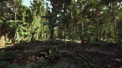Detailed Shot Capturing Humid Canopy and Textured Plant Surfaces for Research