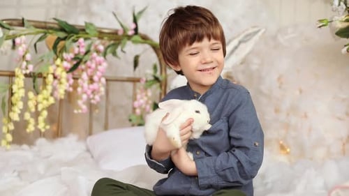 Happy Boy Holds Fluffy White Bunny Rabbit Indoors