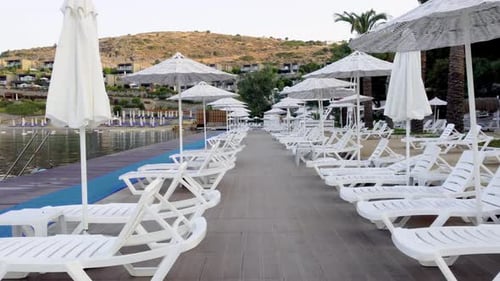 Bird Aerial Drone View Morning Empty Resort Fly Between White Sun Chairs Loungers Umbrellas Under