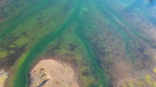 Aerial drone view of low levels of water in the lake. Shortage of water. Climate change.