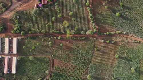 Idyllic rural landscape of farmland in Kenya, aerial top down view