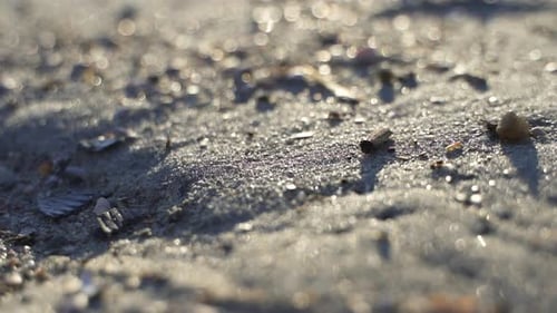 Close up of sand with small rocks at golden hour.