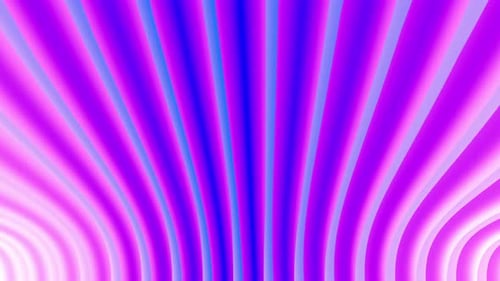 Fluid Abstract Neon Lines Flowing Background Animation