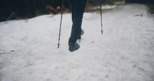 Hiker Walking In Forest In Winter Nordic Walking