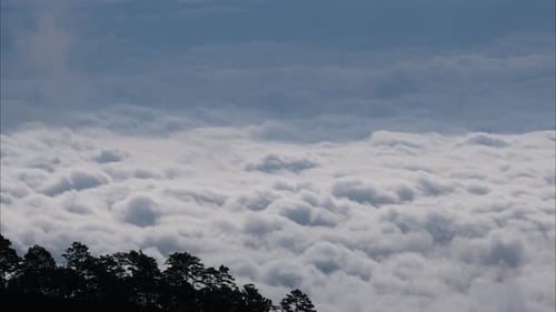 Aerial view of sea of fog on tropical mountains in the early morning.