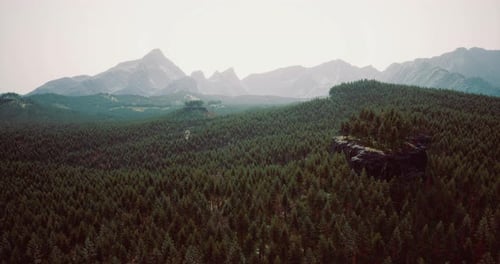 Majestic Mountains Rise Over Lush Forest Landscape Under Bright Sky