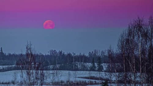 Full moon rising through the haze over a winter wilderness forest - time lapse