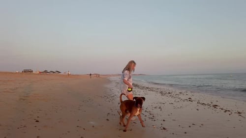 A lady walking her boxer dog on the sandy beach of the ocean in Portugal.