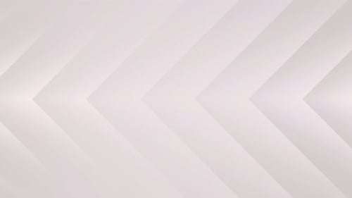clean line white background animation