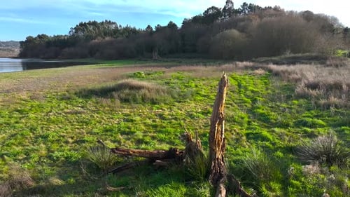 Pullback Over Nature And A Man With Tripod Camera. Aerial Drone Shot