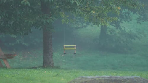 Lonely Swing Hanging from Tree in Misty Park with Eerie Ambience