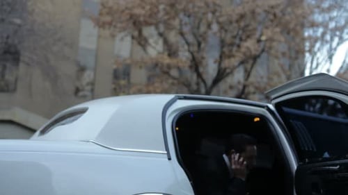Businessmen in Limousine 30-35 Years