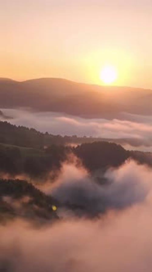 Aerial Sunrise in Foggy Forest Nature