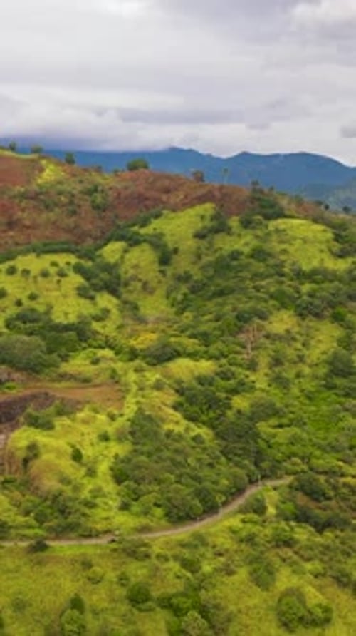 Farming and Growing Plants in Rural Areas of Sri Lanka