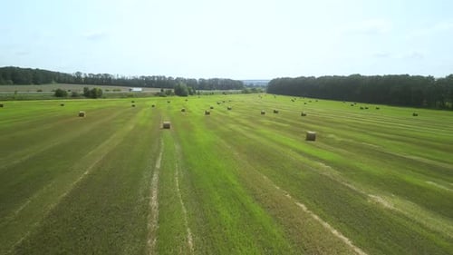 Round Hay Bales on the Green Field