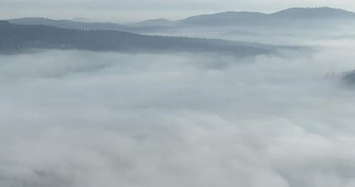 Aerial Drone Footage of Misty Fog Blowing Over Pine Tree Forest on a Beautiful Morning