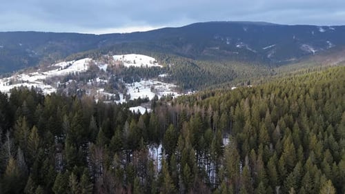 Aerial Winter Mountain Forest Landscape