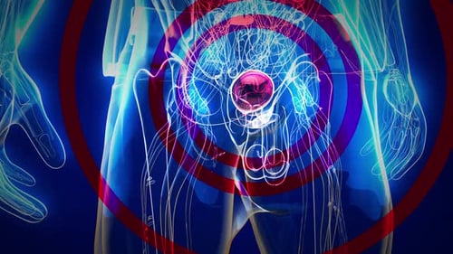 4K abstract animation of the bladder