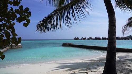 Tropical beach white sand, blue Indian Ocean palm trees. Vacation on paradise island : Beach and sea