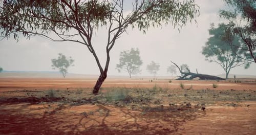 Animated Desert Landscape with Scattered Trees and Dry Terrain