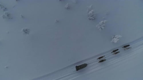 Group Of Six Sled Dogs Running Fast On Snowy Field During Training In Lappland. - aerial