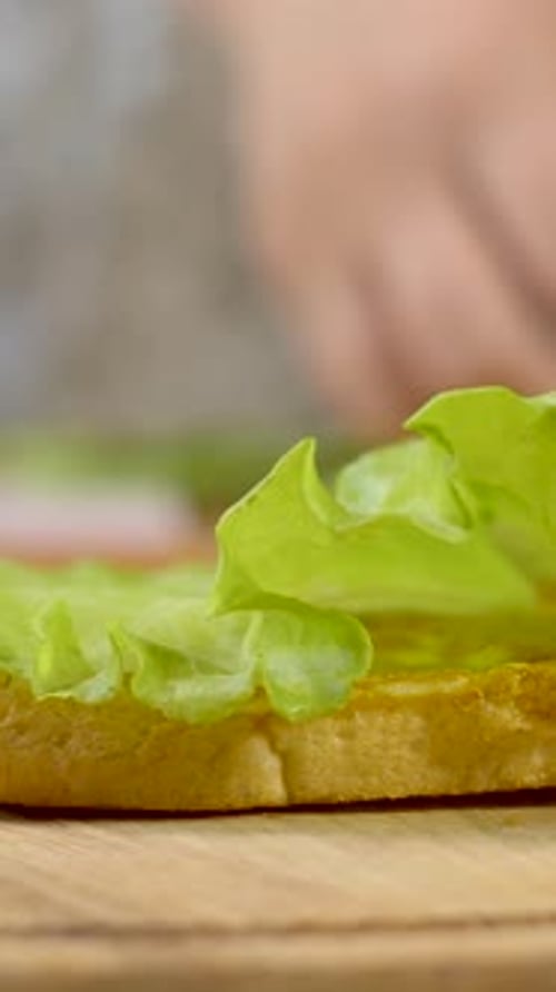 Delicious Sandwich Being Made on Wooden Board