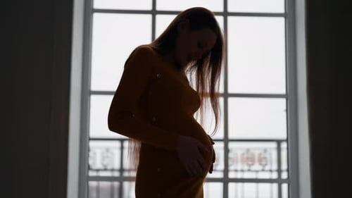 Pregnant Woman Gently Touching Stomach By Window