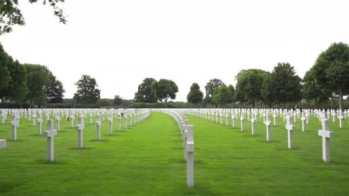 Wide tracking shot of rows of white crosses at the Netherlands American Cemetery and Memorial in Mar