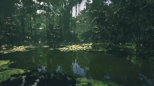Ruhige Szene mit Sonnenlicht, das durch üppiges Laub und Wasser fällt