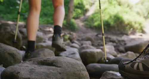 Low section of diverse couple hiking with hiking sticks in park, slow motion