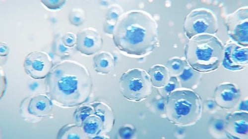Science Animation of Floating Microscopic Cells