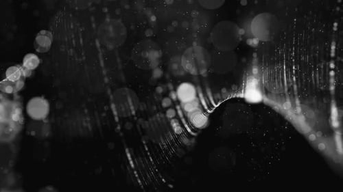 Black And White Particles Animation Loop