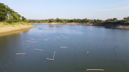 Sie fliegen nah über das Wasser des Surma-Flusses, mit Stöcken über den ganzen Fluss zum Pfahlnetzfischen in B