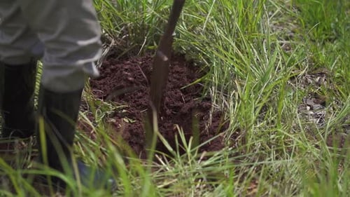 Farmer Digging Soil on a Sunny Day in a Green Meadow