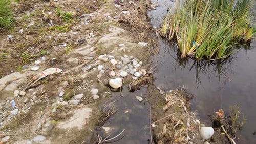 Aerial shot of trash In Los Angeles River