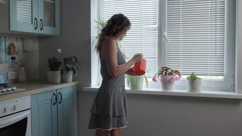Woman Waters Potted Plants by Sunny Window