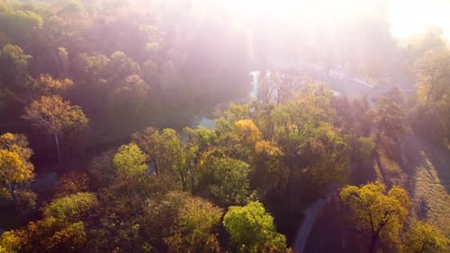 Aerial Drone View Trees with Yellow Leaves a Lake with Ancient Architecture