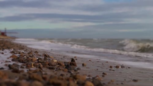 Slow Motion of Sea Waves Washing Northern Sandy Beach with Water and Foam Camera Moves Along Stormy