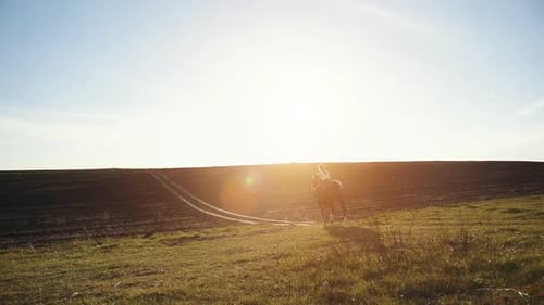 Rear view of young woman that riding her horse in agriculture field at sunny daytime
